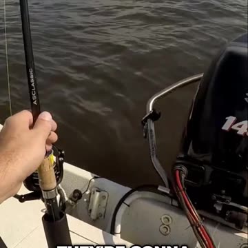 Red-hot Family Fishing Adventure #redfish #speckledtrout