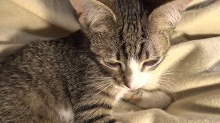 If You Are Recording Me I Leave