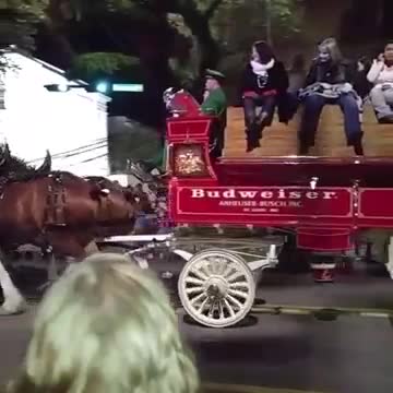 Mardi Gras @ Mobile, AL