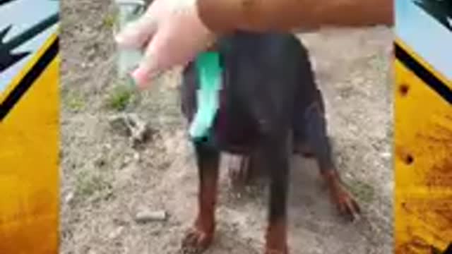 Mira como solucionar las cosas más fácil y rápido