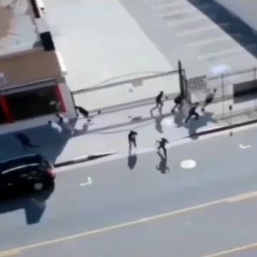 Entertainment , snake dancer