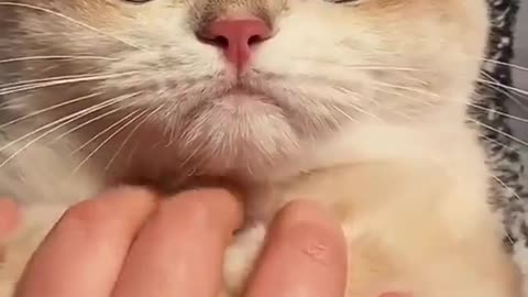 So cute