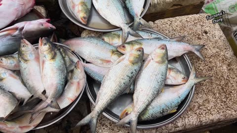 🇧🇩🇧🇩🇧🇩 maoya Ghat Elish PadmaElish in Dhaka Bangladesh 🇧🇩🇧🇩🇧🇩