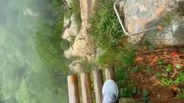 Short multi video.