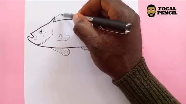 How To Draw A Red Grouper (Fish)