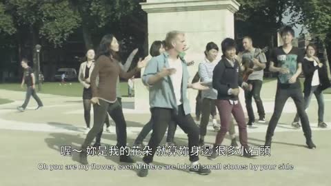 Transition前進樂團 cover 伍佰 - 妳是我的花朵 You are my Flower by 500