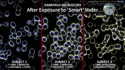 Blood damages information
