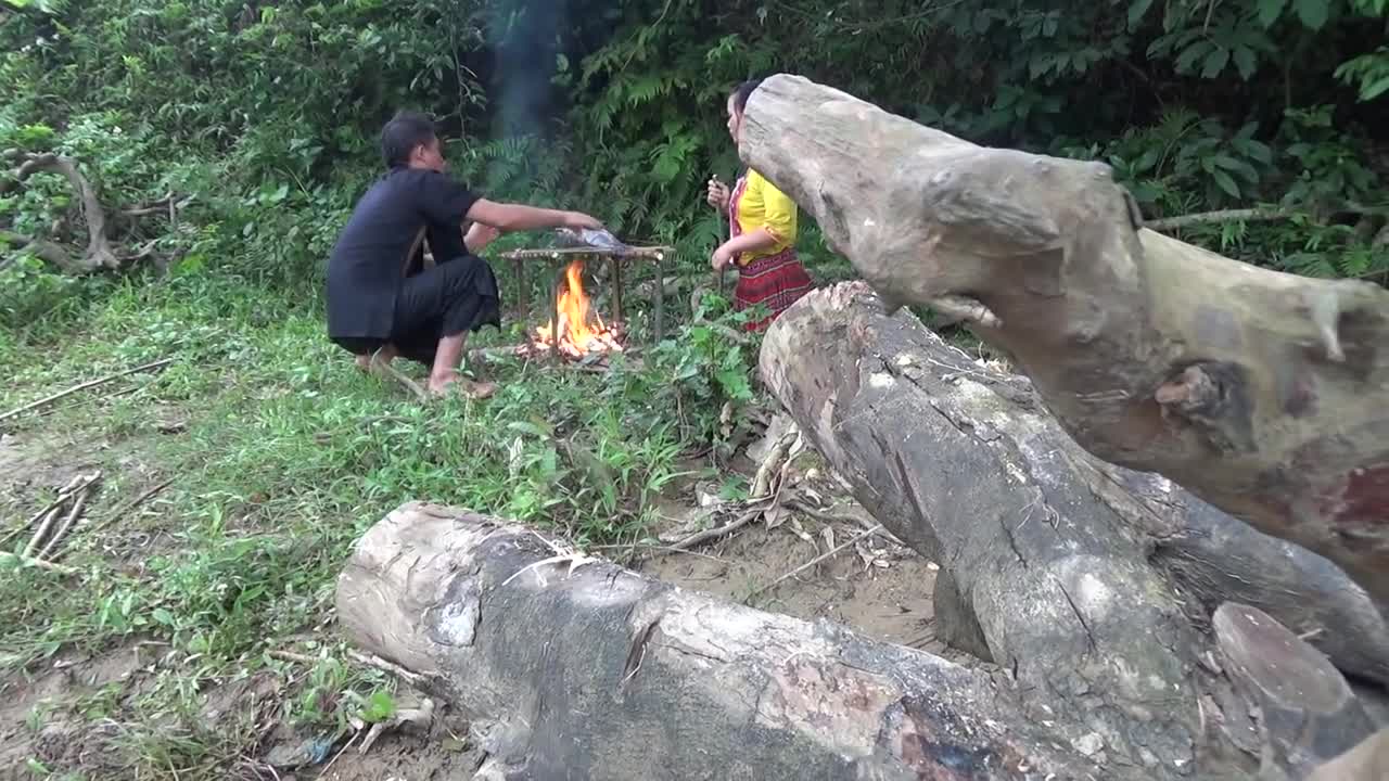 Finding Fish Meet Big Catfish Sleeping With People By The River - Catch Fish To Survive