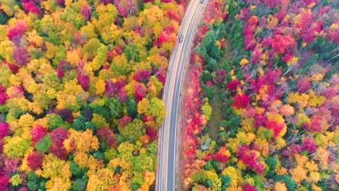 Kancamagus Fall Foliage