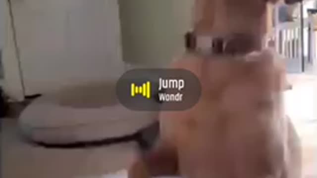 Ru can jump