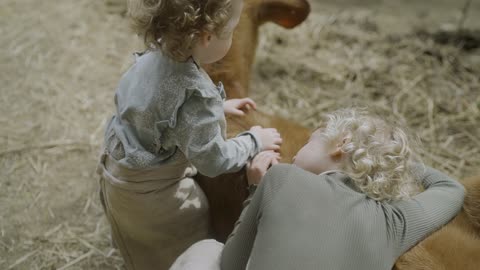 Children Hugging Animals