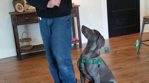 River shaping the sit stay