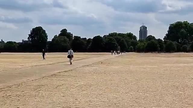Hyde Park London turns into a desert after the harsh heat wave in Britain
