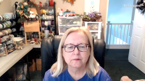 Susan Knowles Channel News/Politics