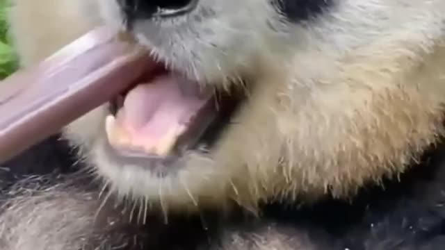 OMG 😱 so cute 😘😘