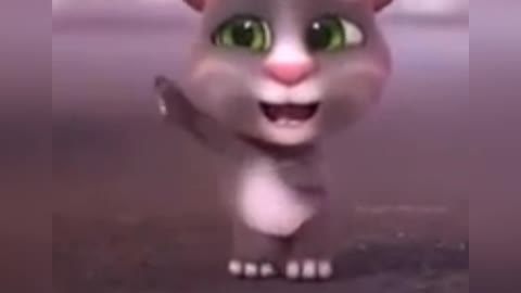 Gato dançarino