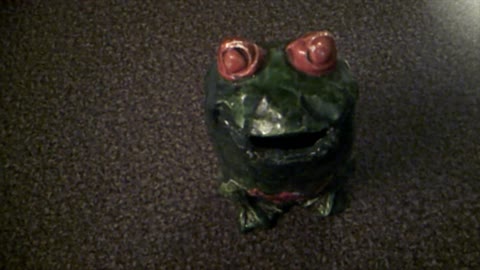 Questions To Ask Your Trusted Local Health Ambassador With Paddy The Frog