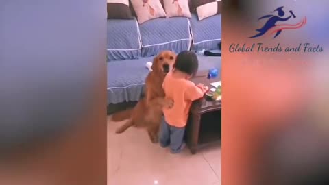 Dog protect baby baby cry🐕🐕