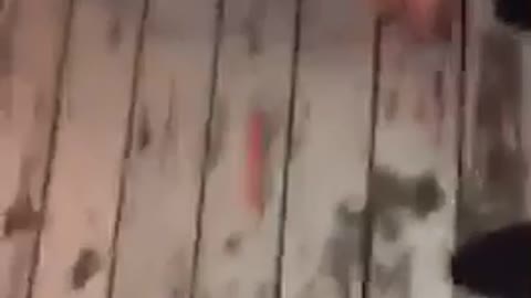 Backwards hat swallows hot dog and throws it up again