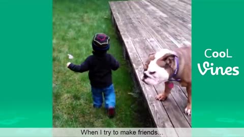 Try Not To Laugh Challenge - Funny Cat & Dog Vines compilation 2017