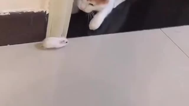 The small hunt became the hunter