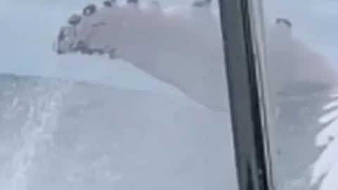 Cought on camera amazing video❤
