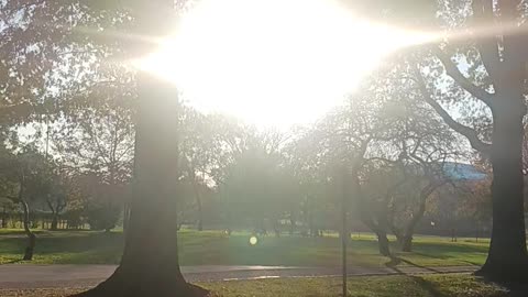 Amazing sunset