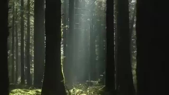 Feel and get close to nature