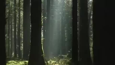 Feel and get close to nature