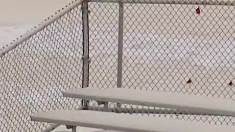 WTF - TOXIC SNOW