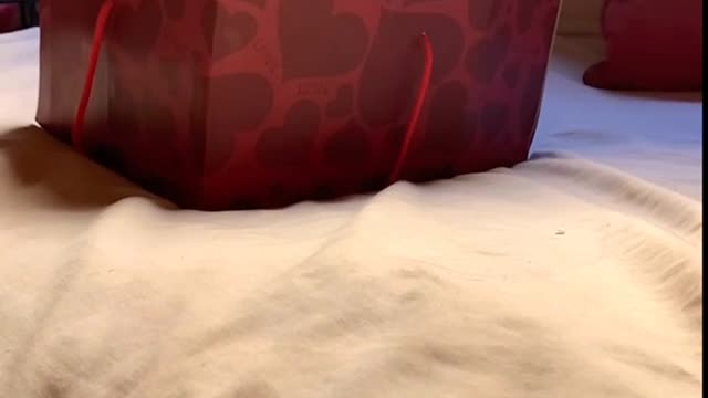 CAT: I love you so much Dad