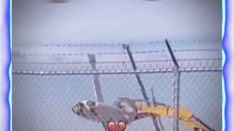 Unexpected video 😯🤯😱🙏🙏 wait for end