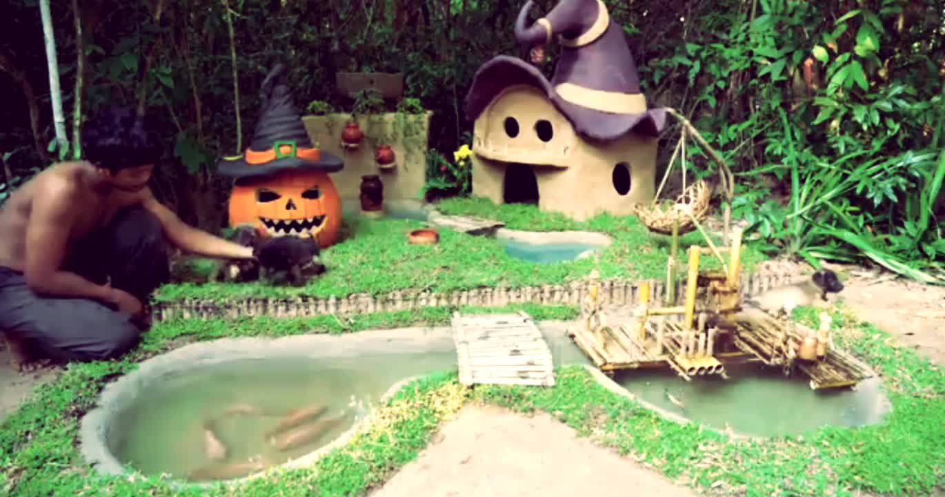 Cute puppies, dog house, fish pond