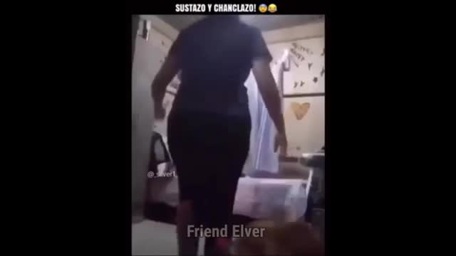 Videos de risa no apto para los que se ríen fortísimo 🤣