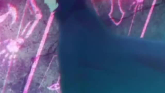 Anime edit 2022