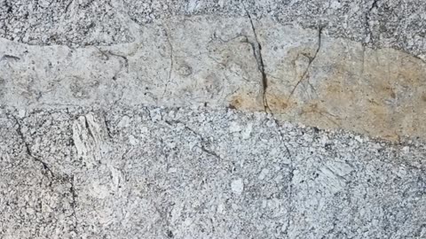 Quartz Vein