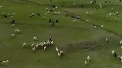 Best drone footage of chundr valley in pakistan