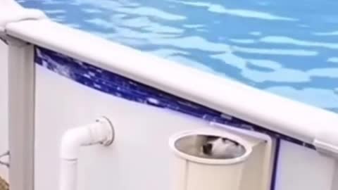 Dime tu tienes ese privilegio