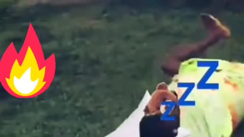 😂😂😂