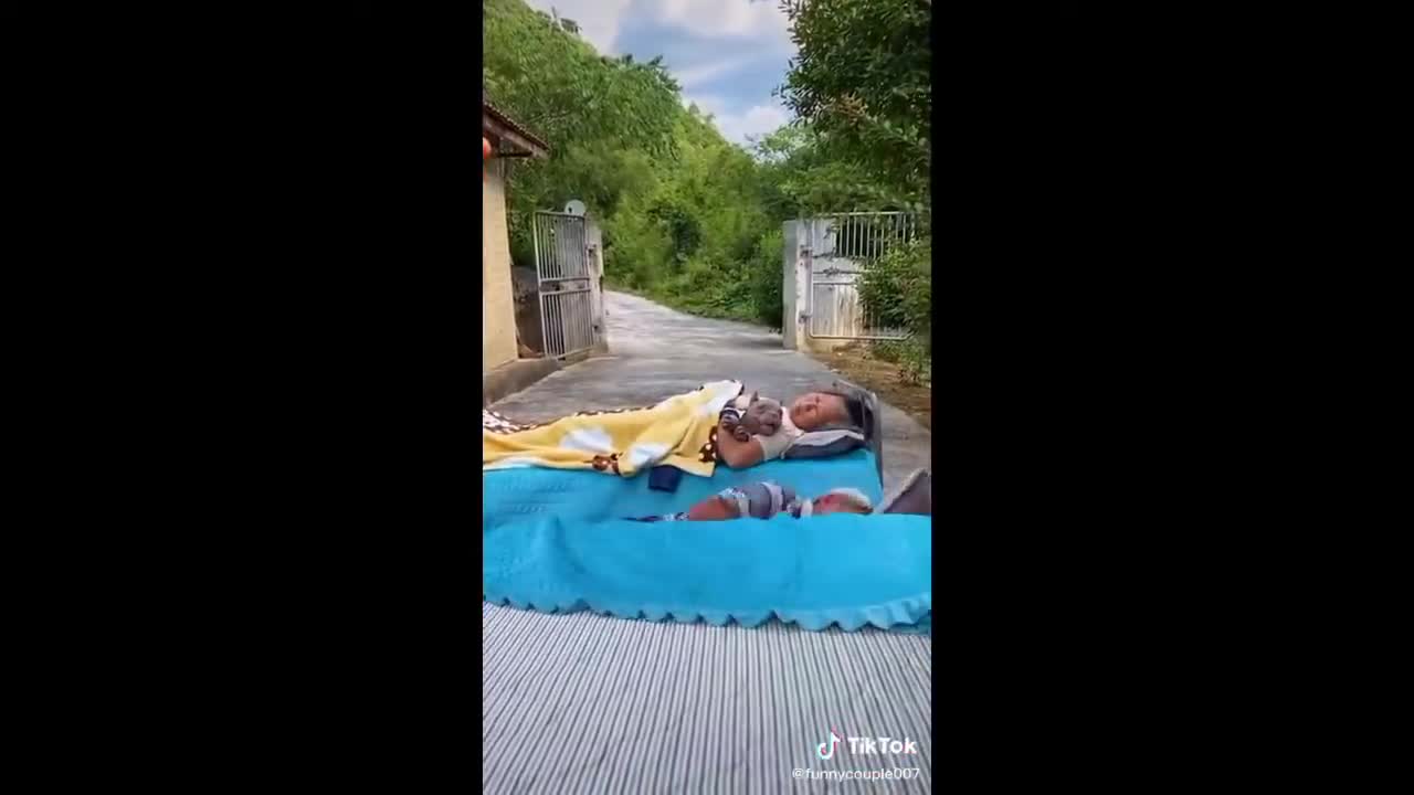 Funny Vedio Compilation