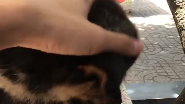 when you are sad and lovers come to soothe you