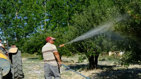 Concerning Findings: New Research Reveals That Washing Your Fruit Doesn’t Remove All Pesticides
