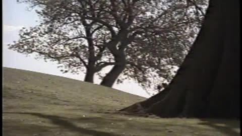 Hare Krishna in the Movies - Original