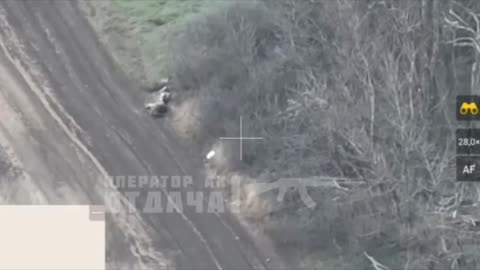 Mortar Fire on a Group of Ukrainian Infantry Near Toretsk