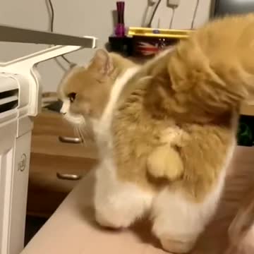 The ass is in the shape of love you.