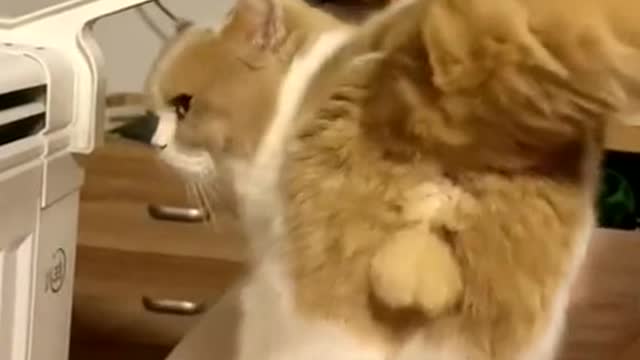 The ass is in the shape of love you.