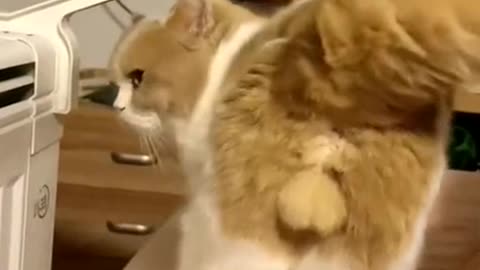 The ass is in the shape of love you.