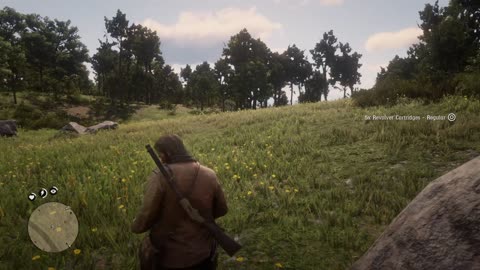 rdr2 walkthrough, further questions of female suffrage mission