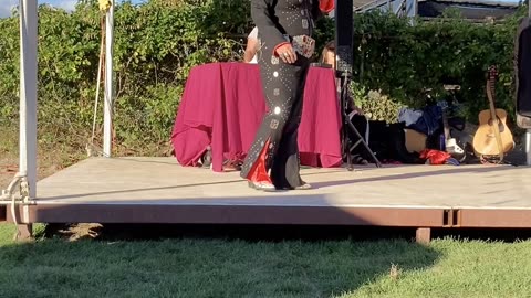 Elvis in 120º