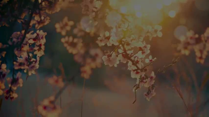 Beautiful Relaxing Music: Romantic Music, Piano Music, Guitar Music, Instrumental Music ★73